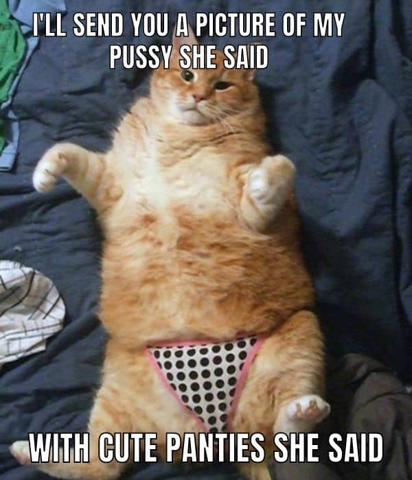Nude Photo Meme on Pussy