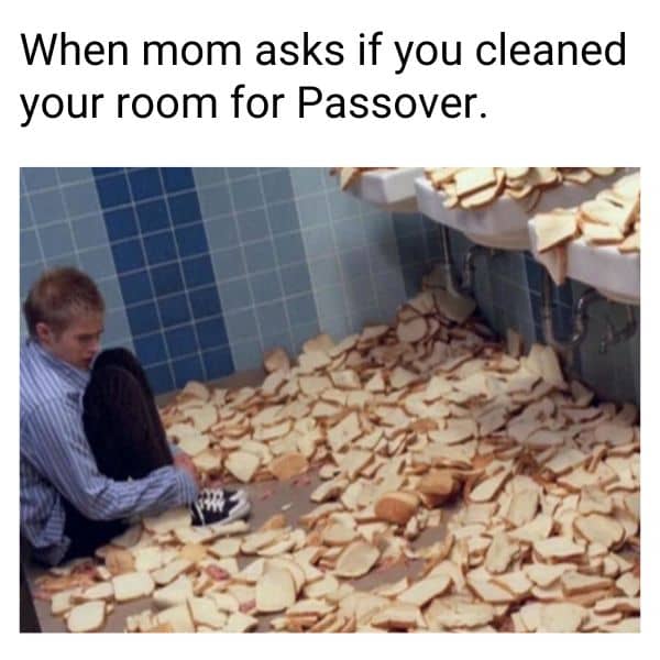 Passover Cleaning Meme