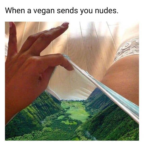 Sending Nudes Vegan Meme