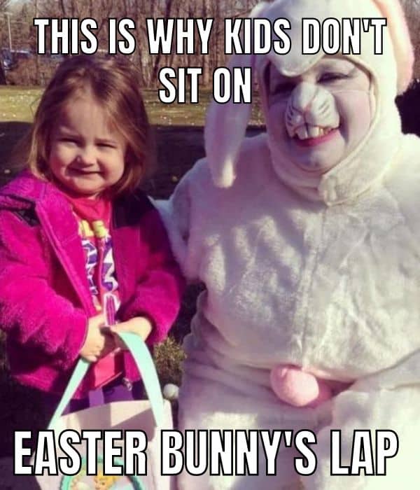 Sexy Easter Bunny Lap Meme