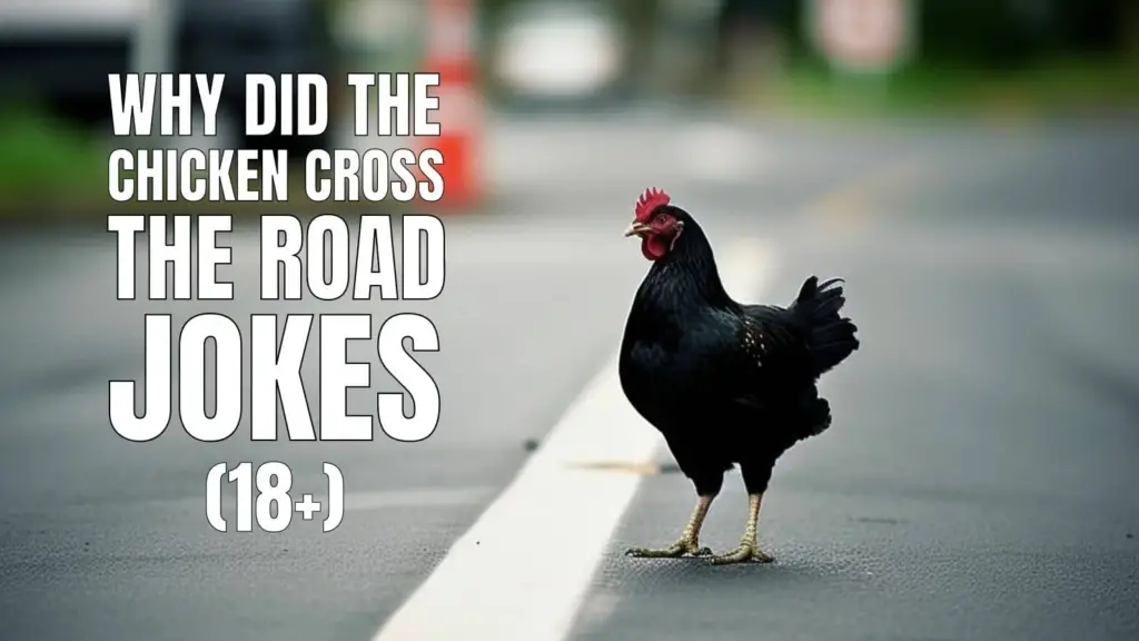 100-funny-why-did-the-chicken-cross-the-road-answers-jokes