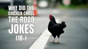 Dark Why Did the Chicken Cross the Road Jokes