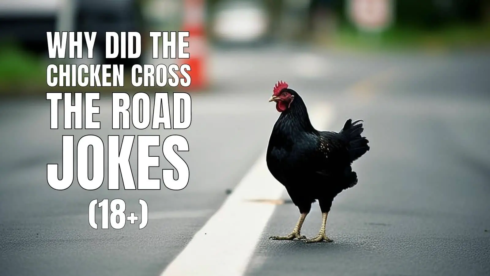Dark Why Did the Chicken Cross the Road Jokes