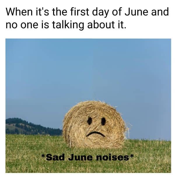 June 1st Meme on Sad Straw