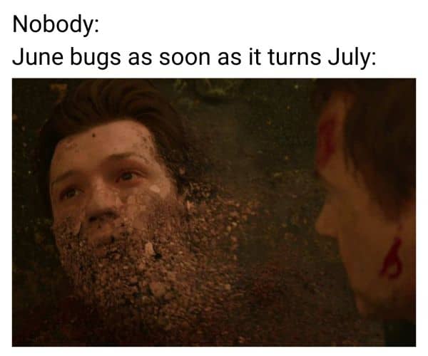 June Bug Meme on July