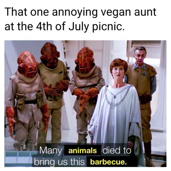 4th Of July Picnic Meme