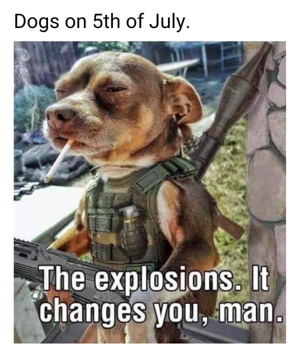 5th July Meme on Dog