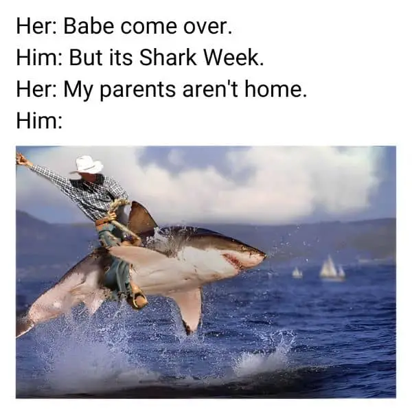 Babe Come Over Meme on Shark Week