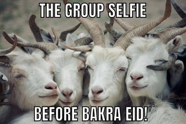 20 Best Eid Al-Adha Memes To Celebrate Bakrid