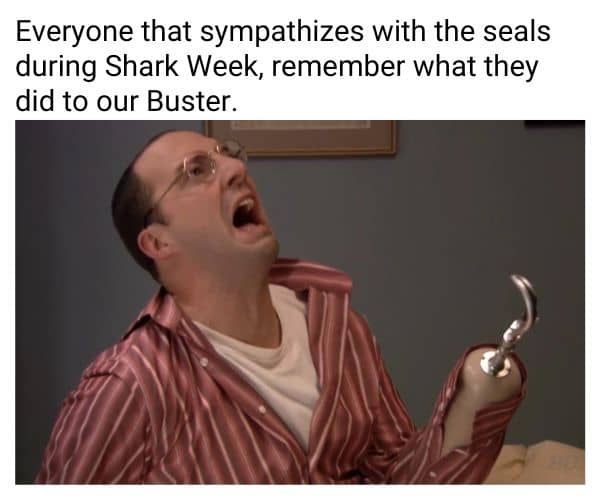 Best Shark Week Meme on Seals and Buster
