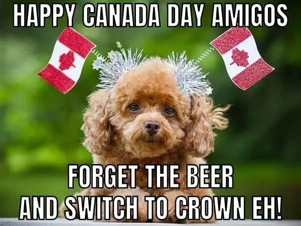 Canada Day party meme