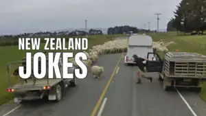 Funny New Zealand Jokes for Kiwi