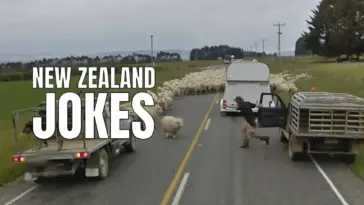 new zealand radio hosts funny