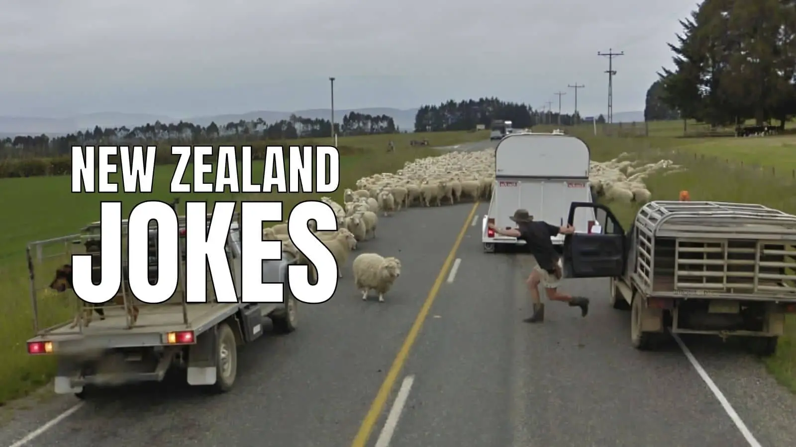 Funny New Zealand Jokes for Kiwi