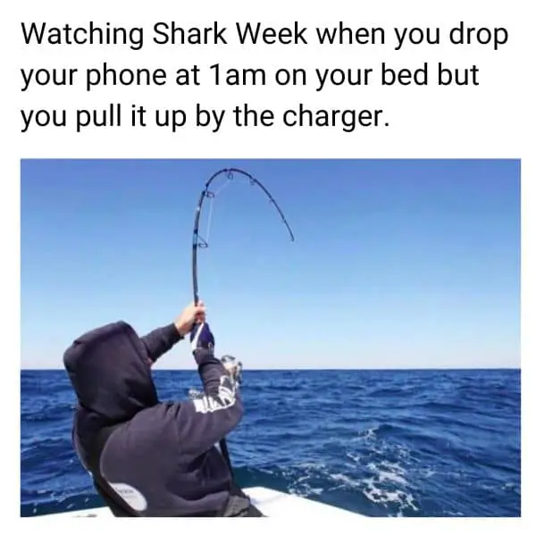 Funny Shark Week Meme on Fishing