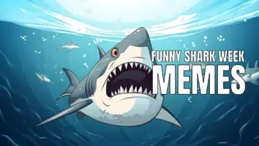 20 Funny Shark Week Memes That Are Fin-tastic In 2023