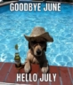 20 Funny July Memes For The Seventh Month Of 2025