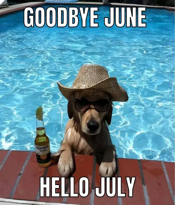 Goodbye June Hello July Meme