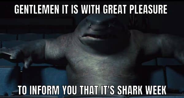 Its Shark Week Meme on Shark King