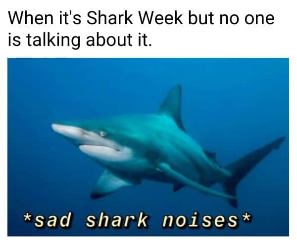 Sad Noises Meme on Shark Week