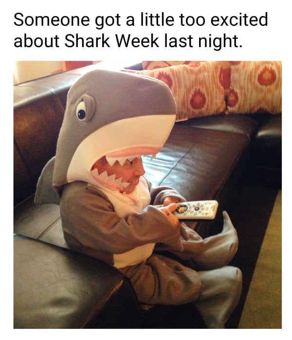 Shark Week Excitement Meme