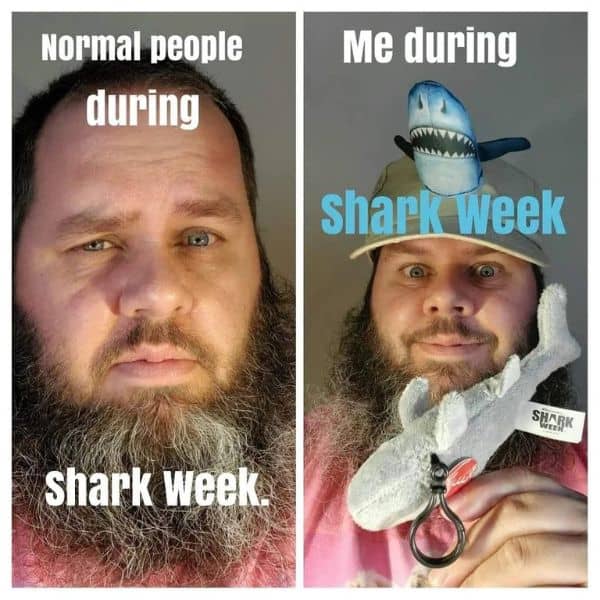 Shark Week Fan Meme
