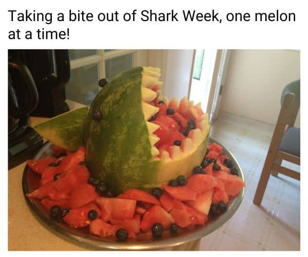 Shark Week Melon Meme