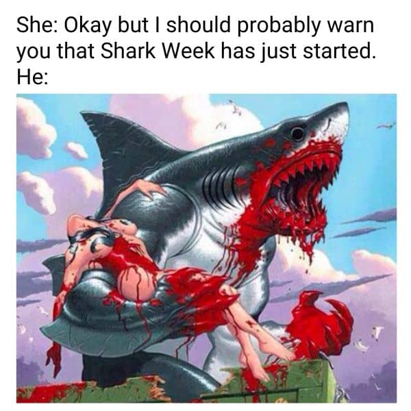 Shark Week Period Meme
