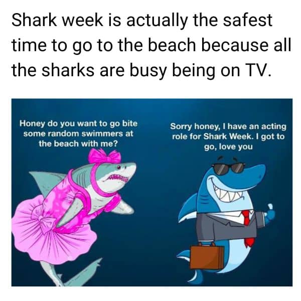 Shark Week Show Meme on Beach