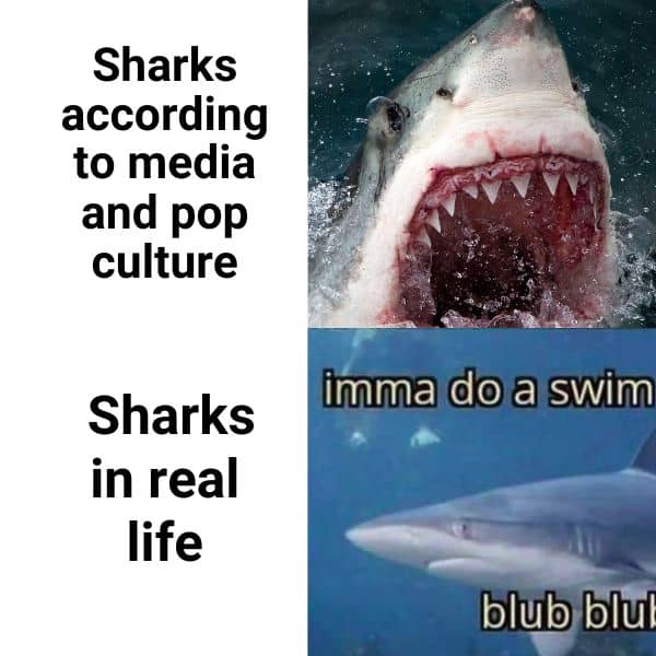 Shark in Media vs Shark in Real Life Meme