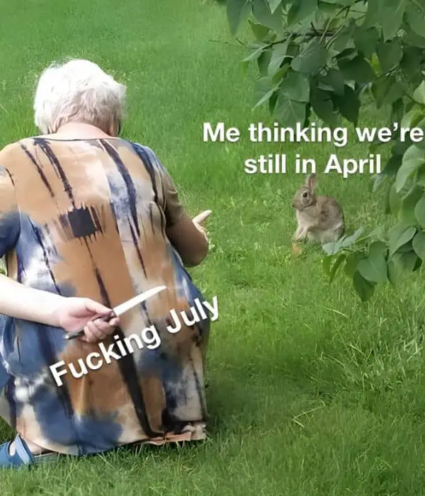 Thinking We Are Still in April Meme on July