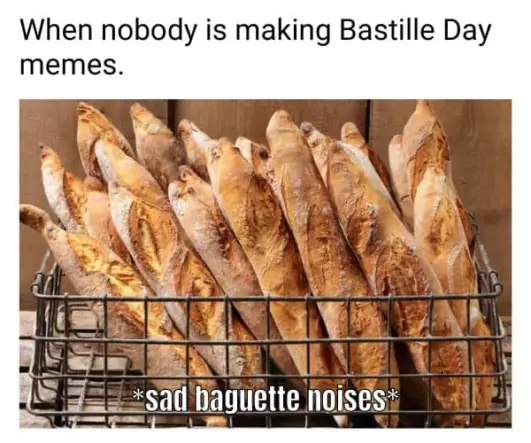 Funny Bastille Day Memes That Are Revolutionary | Nature And Life