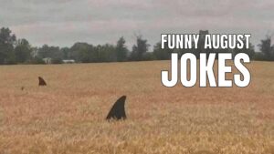 Funny August Jokes on 8th Month