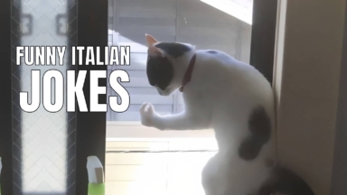 75 Funny Polish Jokes That Should Be Banned In Poland