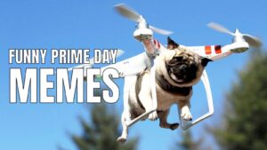 Funny Prime Day Memes on Amazon