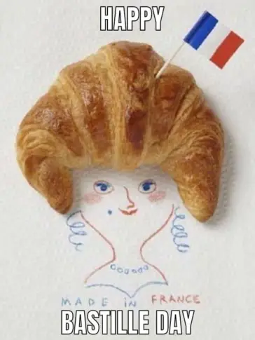 Funny Bastille Day Memes That Are Revolutionary | Nature And Life