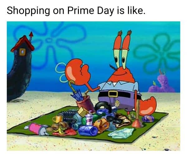 Prime Day Shopping Meme