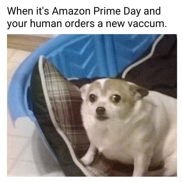 Vaccum Cleaner Meme on Prime Day