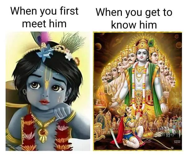 Krishna Janmashtami Meme on Vishnu