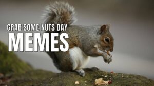National Grab Some Nuts Day Memes on Squirrel