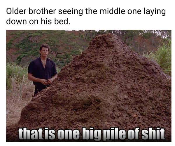 That is one big pile of shit meme on middle kid