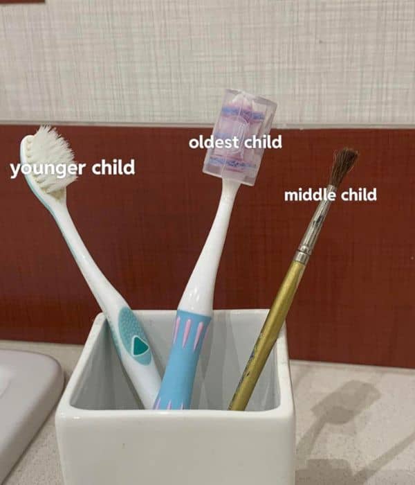 Younger vs Older vs Middle Child Meme on Toothbrush