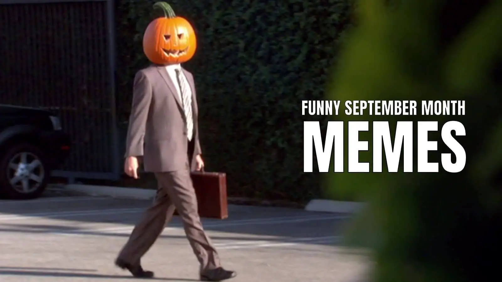 Funny September Memes on 9th Month