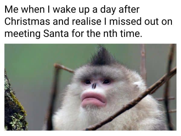 A Day After Christmas Meme on Santa Claus