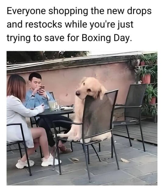 20 Best Boxing Day Memes To Knockout Your Holiday Blues