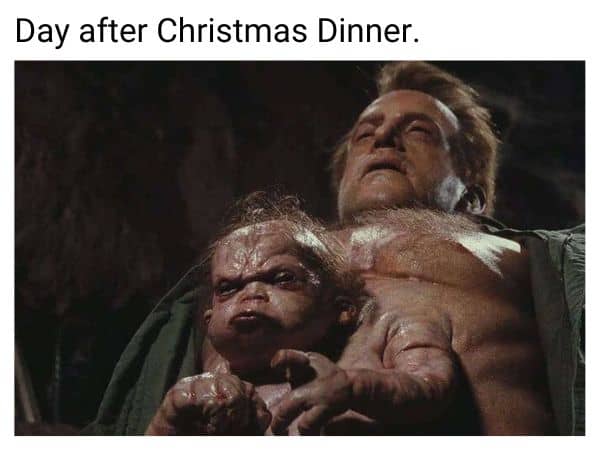 Day after Christmas Dinner Meme