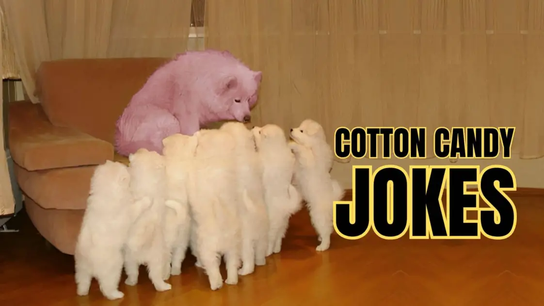 30 Funny Cotton Candy Jokes & Puns For Sweet Smiles