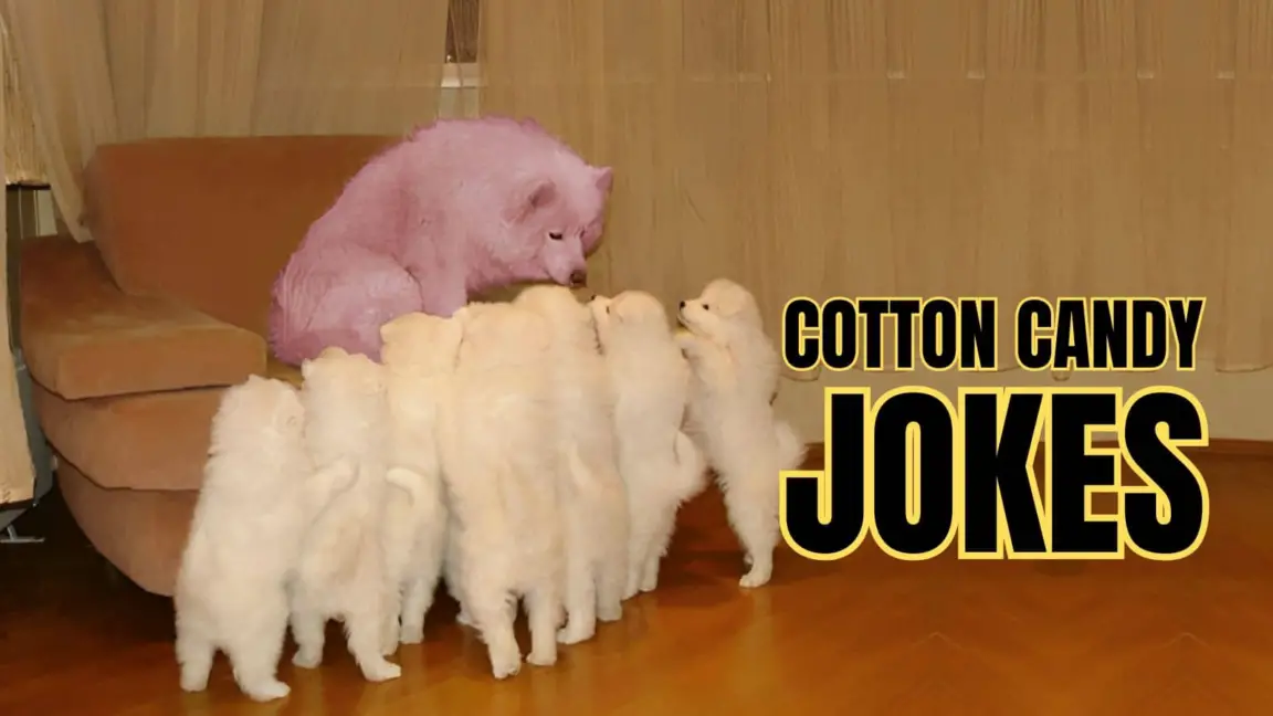 30 Funny Cotton Candy Jokes & Puns For Sweet Smiles