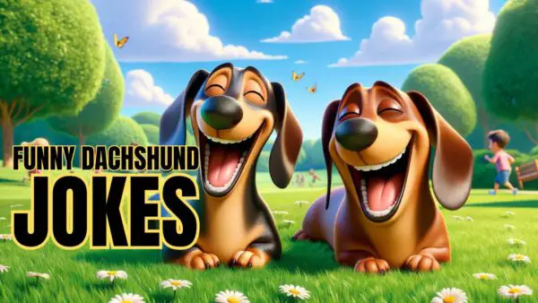 40 Funny Dachshund Jokes To Make A Dog Lover Howl