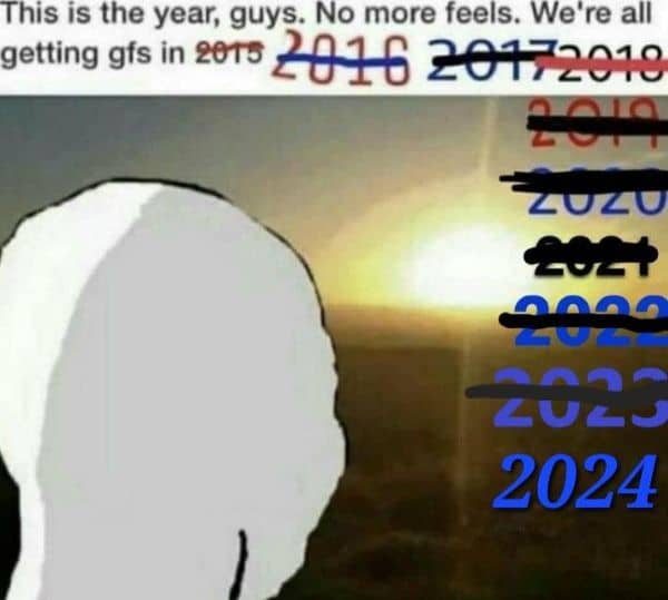 Getting Girlfriends in 2024 Meme